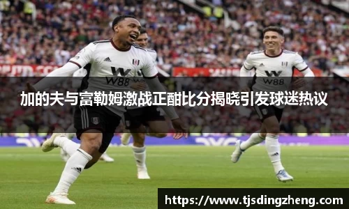加的夫与富勒姆激战正酣比分揭晓引发球迷热议